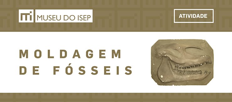 Atividade de moldagem de fósseis do Museu do ISEP